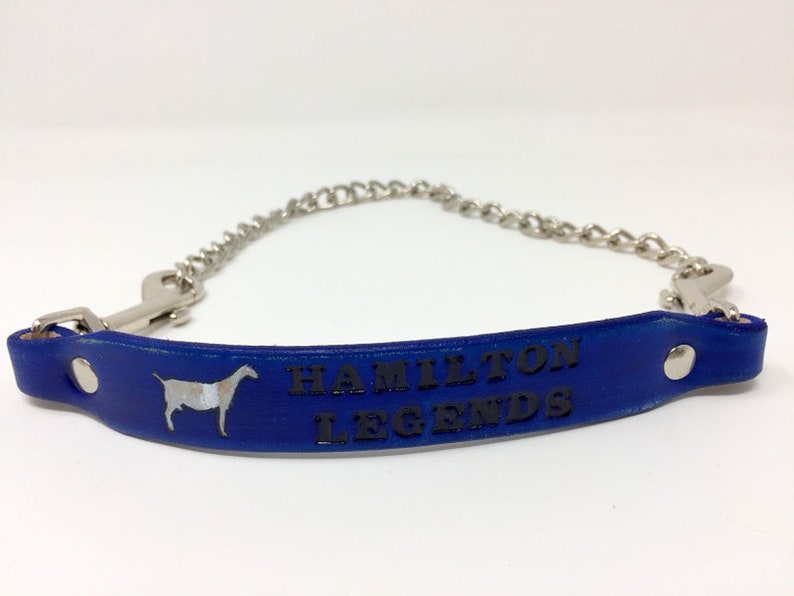 Pu&ograve; includere: Collare per cani in pelle blu con catena argentata e fibbie metalliche. Il collare &egrave; impresso con il testo "HAMILTON LEGENDS" e una silhouette di una capra.