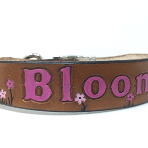 May include: Brown leather dog collar with the name "Bloom" embossed in pink letters and pink flowers.