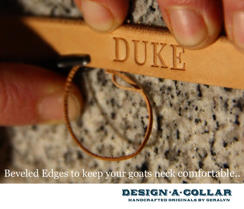 Pu&ograve; includere: Un collare per cani in pelle marrone con il nome "DUKE" inciso su di esso. Il collare ha bordi smussati per maggiore comfort. Il testo "DESIGN A COLLAR HANDCRAFTED ORIGINALS BY GERALYN" &egrave; visibile sotto il collare.