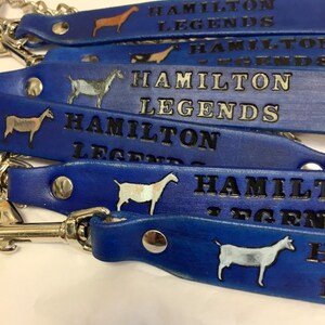 Pu&ograve; includere: Un mucchio di guinzagli in pelle blu con fibbie argentate e silhouette di capre bianche. Ogni guinzaglio ha la scritta "Hamilton Legends" stampata su di esso.