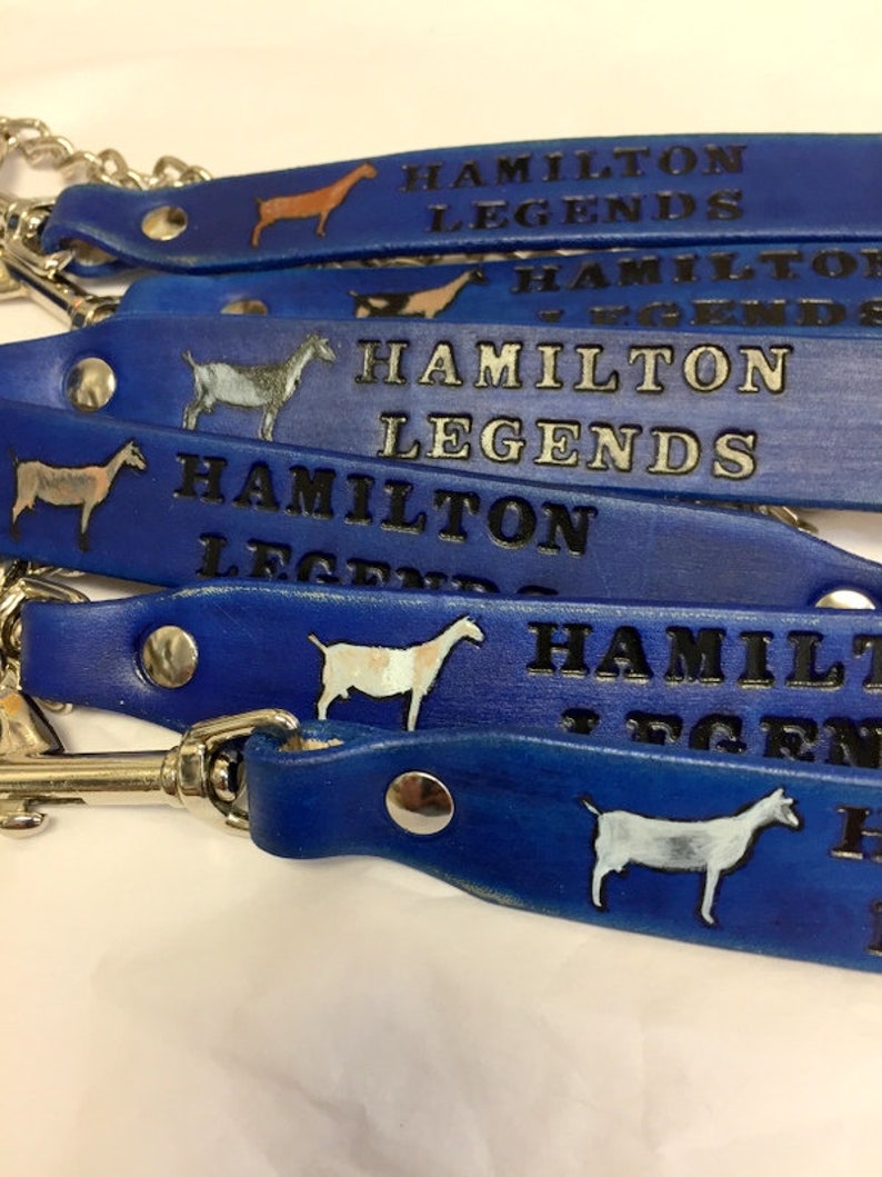 Pu&ograve; includere: Un mucchio di guinzagli in pelle blu con fibbie argentate e silhouette di capre bianche. Ogni guinzaglio ha la scritta "Hamilton Legends" stampata su di esso.