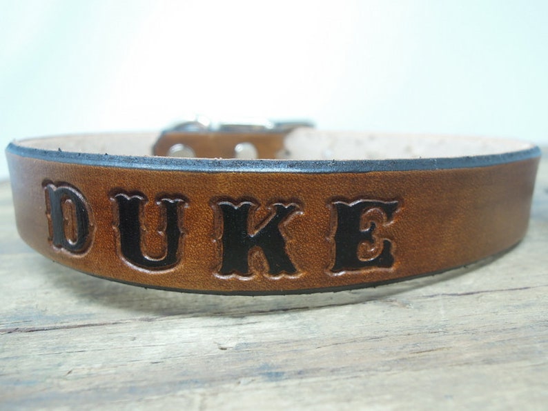 Dog Collar Leather Personalized with Name and/or Phone Number image 4