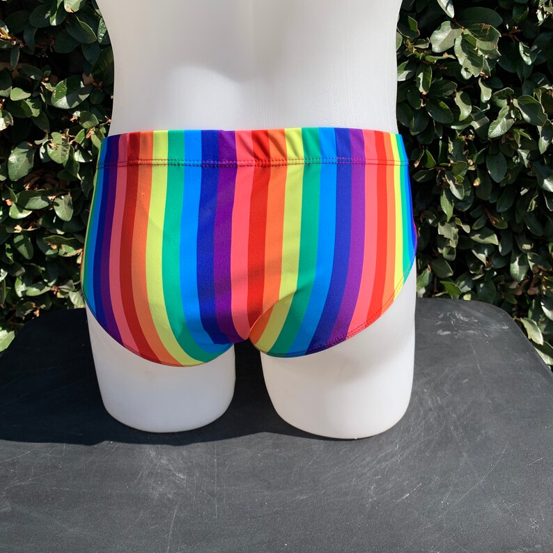 Rainbow Mens Speedo Briefs Etsy