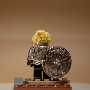 May include: A Lego minifigure of a knight wearing silver armor and a yellow helmet with a blond wig. The knight is holding a silver shield with a fleur-de-lis design.