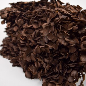 May include: A large pile of dried brown hydrangea petals. The petals are arranged in a loose, organic shape, creating a natural and rustic look.