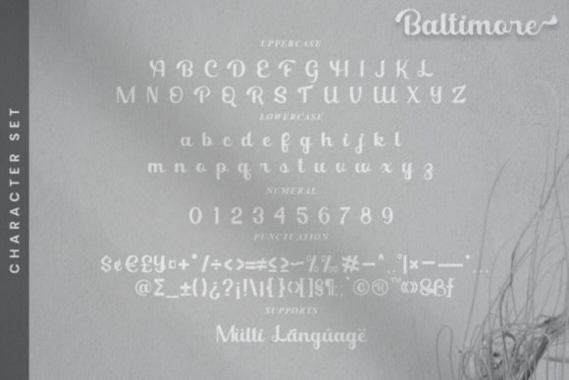 Baltimore Font, Script Font, Beautiful Font, Vintage Font, Retro Font ...