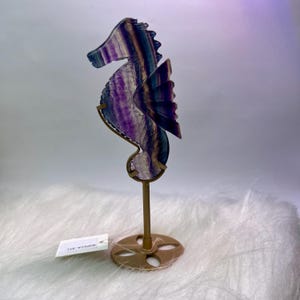Rainbow Fluorite Seahorse Crystal Carving on Stand – Vibrant Sealife Statement Piece