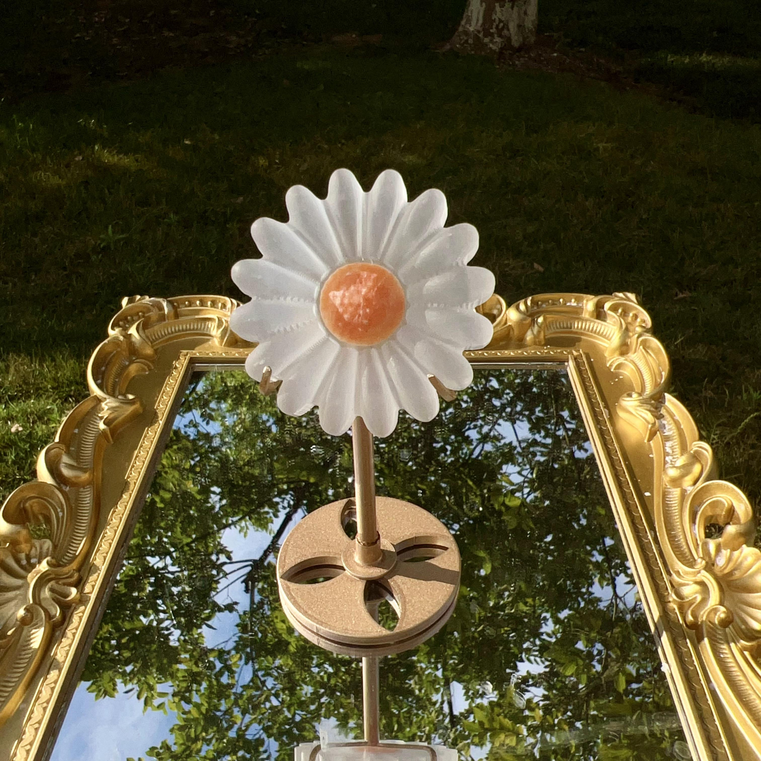 Selenite Daisy with Golden Stand: Crystal Cleansing Home Decor