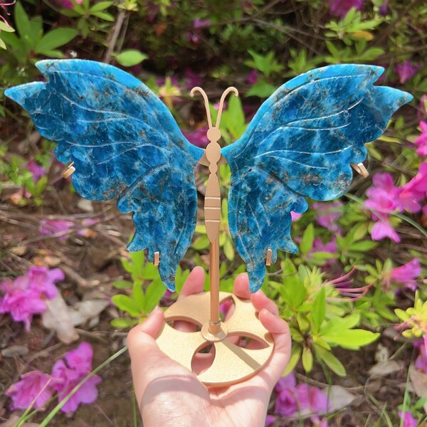 Blue Apatite Crystal Butterfly Wings Mom Wedding Birthday Gifts clear confusion healing Memorial Custom Carving on Stand