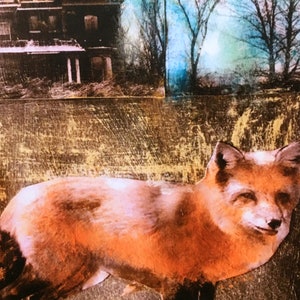 Art print/fox in the night/nature art/wildlife/ mixed media art/Heather Murray /quality print/ acrylic /unique wall art/limited series image 2