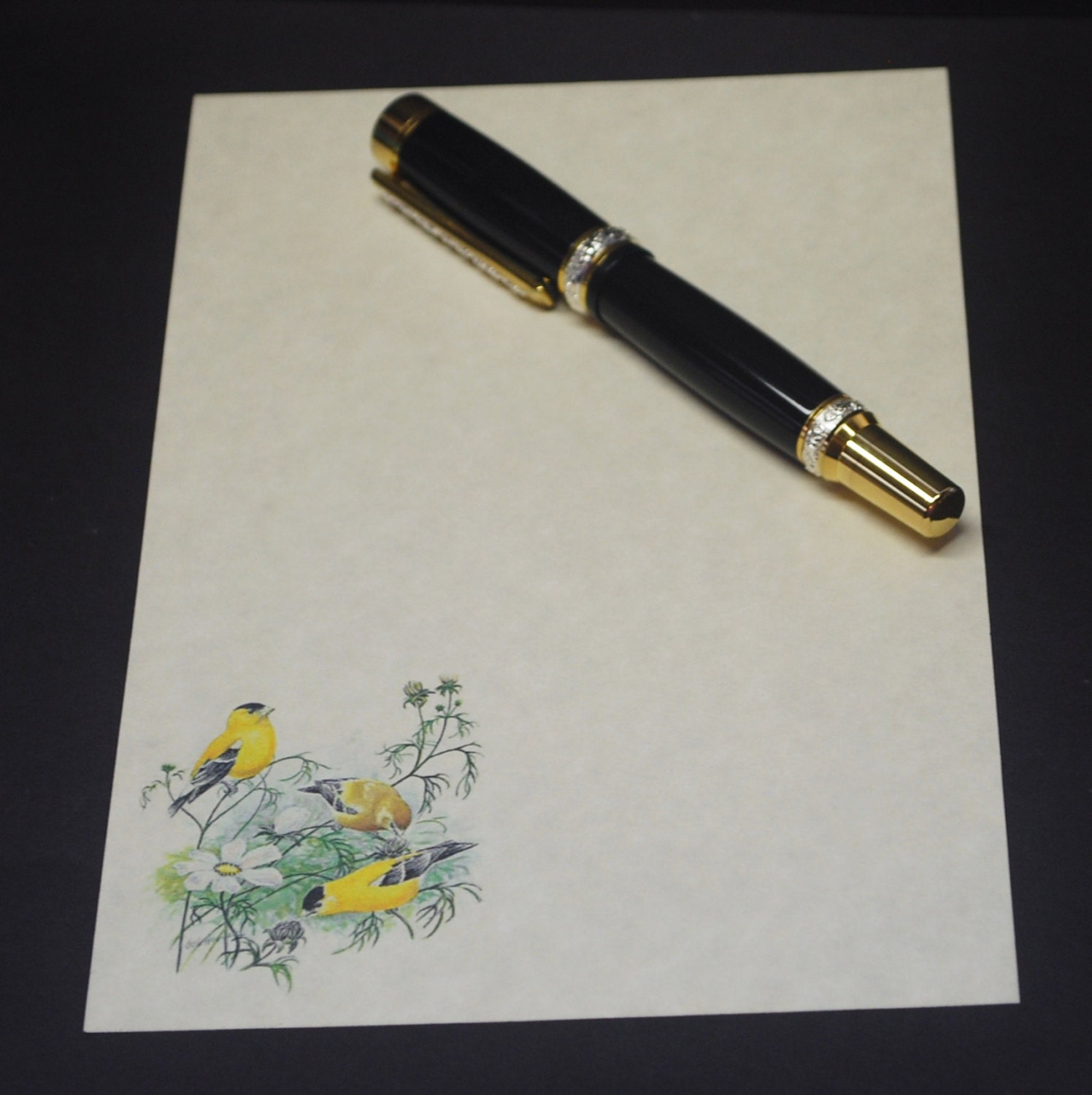 Pretty Bird, Stationery Set, 5.5 X 8.5, Letter Writing Set
