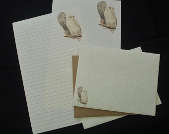Owl 2, stationery set, 5.5 x 8.5, snowy owl, bird, writing set, handwritten letters, parchment paper, stationery, lined, unlined. owl, birds