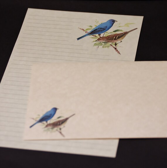 Pretty Bird, Stationery Set, 5.5 X 8.5, Letter Writing Set