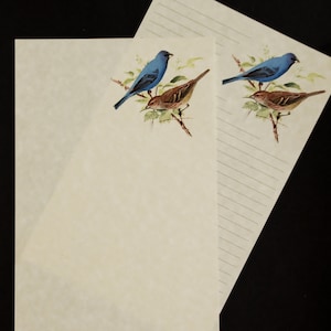 Indigo Bunting Pair, stationery set, 5.5 x 8.5, letter writing set, handwritten letters, parchment paper, lined, unlined, blue bird, pen pal