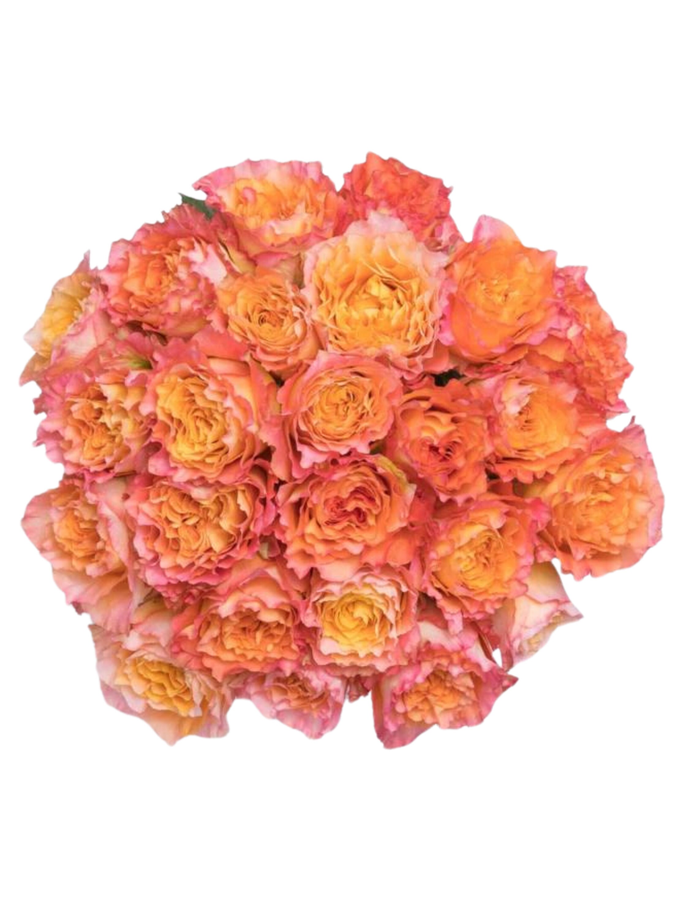 Fresh Rose Bouquet, Fresh Roses, Red Roses, Pink Roses, White