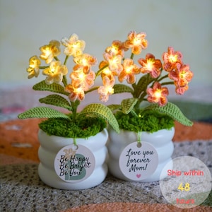 May include: Two potted crochet flower arrangements with integrated LED lights. Each plant features green leaves and peach-colored blossoms in a white, ribbed ceramic pot. One tag reads Be Happy Be Bright Be You, the other Love you forever Mom!