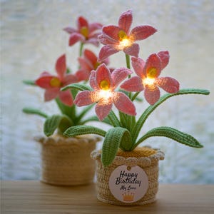 Op de afbeelding: Gehaakte roze bloemen met gele centra en gloeiende lichten, gerangschikt in beige geweven potten met groene bladeren. Een label leest "Happy Birthday My Love" met een kroon. Op een houten oppervlak.