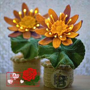 Crochet Water Lily, Handmade Water Lily Flower in Pot, Water Lily Lamp, Birth Gift, Gift for Her, Birth Month Flower, Unique Mom Gift