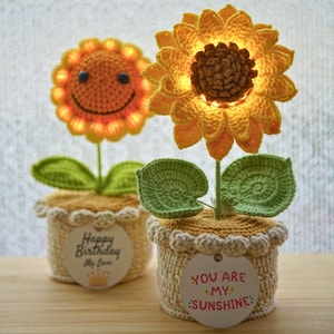 May include: Two crocheted sunflower potted plants with internal lights. One flower has a smiling face, while the other glows brightly. Each pot is wrapped in cream yarn with a scalloped edge and a circular tag. Tags read Happy Birthday My Love and YOU ARE MY SUNSHINE.