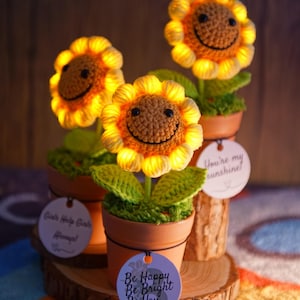 以下が含まれることがあります： テラコッタの鉢に入った、手作りのかぎ針編みのひまわりの装飾が3つ。ひまわりは笑顔で、黄色い花びらが光っています。各鉢には前向きなメッセージが書かれたタグが付いています。ひまわりは木の台座に置かれています。