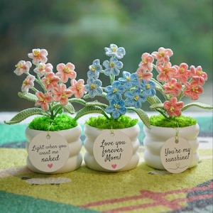 Crochet ForgetMeNot Lamp in Pot, Personalized Handmade Flowers, Valentine's Day, Mother's Day Gift, New Year Indoor Spring Decor