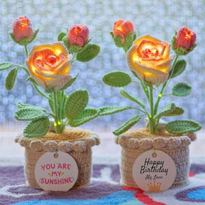 Puede incluir: Dos arreglos florales de rosas de ganchillo en macetas beige. Las rosas están iluminadas desde dentro, con tonos naranja y amarillo. Hojas y tallos verdes acompañan a las flores. Una maceta tiene una etiqueta que dice "You are my sunshine", la otra "Happy Birthday My Love".