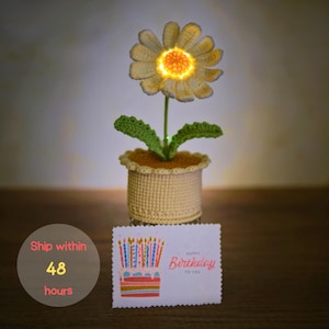 Crochet Daisy Flower in Pot, Knitted Daisy Night Light, Handmade Birthday Flower for April, Home Decoration, Gift for Mom, Grandma Gift