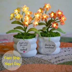 May include: Two potted crochet flower arrangements with integrated warm LED lights. Each white ceramic pot features a round tag; one reads Light when you want me naked with a heart, and the other reads You're my sunshine with a heart and line art.