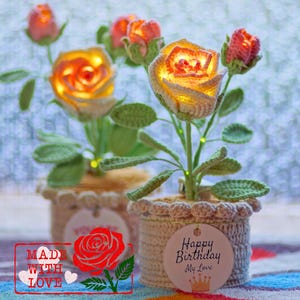 May include: Crocheted rose flower arrangement with illuminated yellow and orange petals, green leaves, and stems. The flowers are in small, beige crocheted pots. One pot has a tag that says "Happy Birthday My Love".