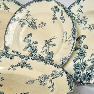 Peut inclure: Ensemble d'assiettes anciennes crème avec des motifs floraux bleus. Les assiettes présentent un bord festonné et des illustrations botaniques détaillées. Les assiettes sont disposées en gros plan, mettant en valeur leur esthétique vintage.