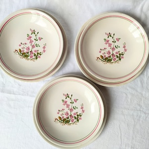 Peut inclure: Trois assiettes en céramique blanche avec des motifs floraux roses et verts. Les assiettes ont un bord rouge fin.
