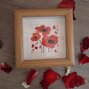 quadro acquarello papaveri rossi.10x10.arte floreale originale con cornice