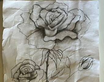 Rose Pencil Drawing