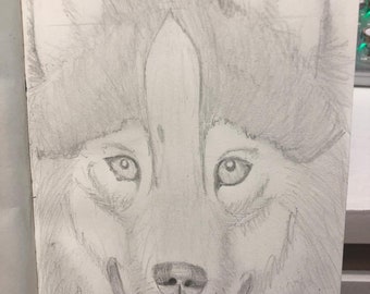 Wolf Face Pencil Drawing