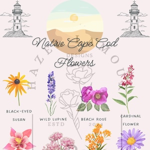 Puede incluir: Ilustración floral con diversas flores, incluyendo la rudbeckia, el altramuz silvestre y la rosa de playa. El diseño incluye el texto "Native Cape Cod Designs Flowers" e imágenes de faros y paisajes costeros.