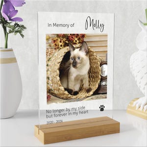 Forever in Our Hearts Pet Memorial Sign – Custom Photo Acrylic Keepsake for Dog or Cat Loss – Personalized Pet Tribute Display.