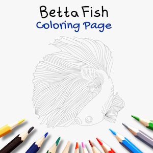 BETTA Fish Coloring Page - Siamese Fighting Fish Outline in PDF Printable Coloring Page for Adults and Kids,  Instant Download