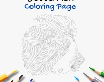BETTA Fish Coloring Page - Siamese fighting fish - PDF Printable - Coloring Page for Adults and Kids - Instant Download
