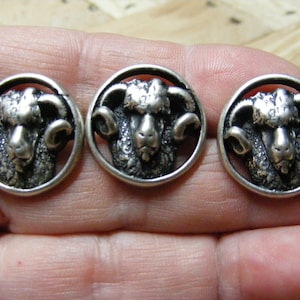 Nicky Epstein Bighorn Ram Sheep Buttons, lot of 3 ....Lot 1735 image 1