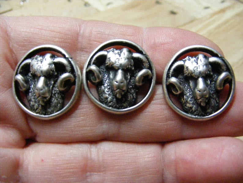 Nicky Epstein Bighorn Ram Sheep Buttons, lot of 3 ....Lot 1735 image 1