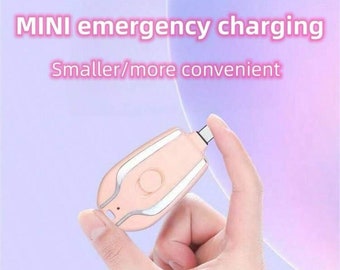 Mini portable iPhone charger key chain