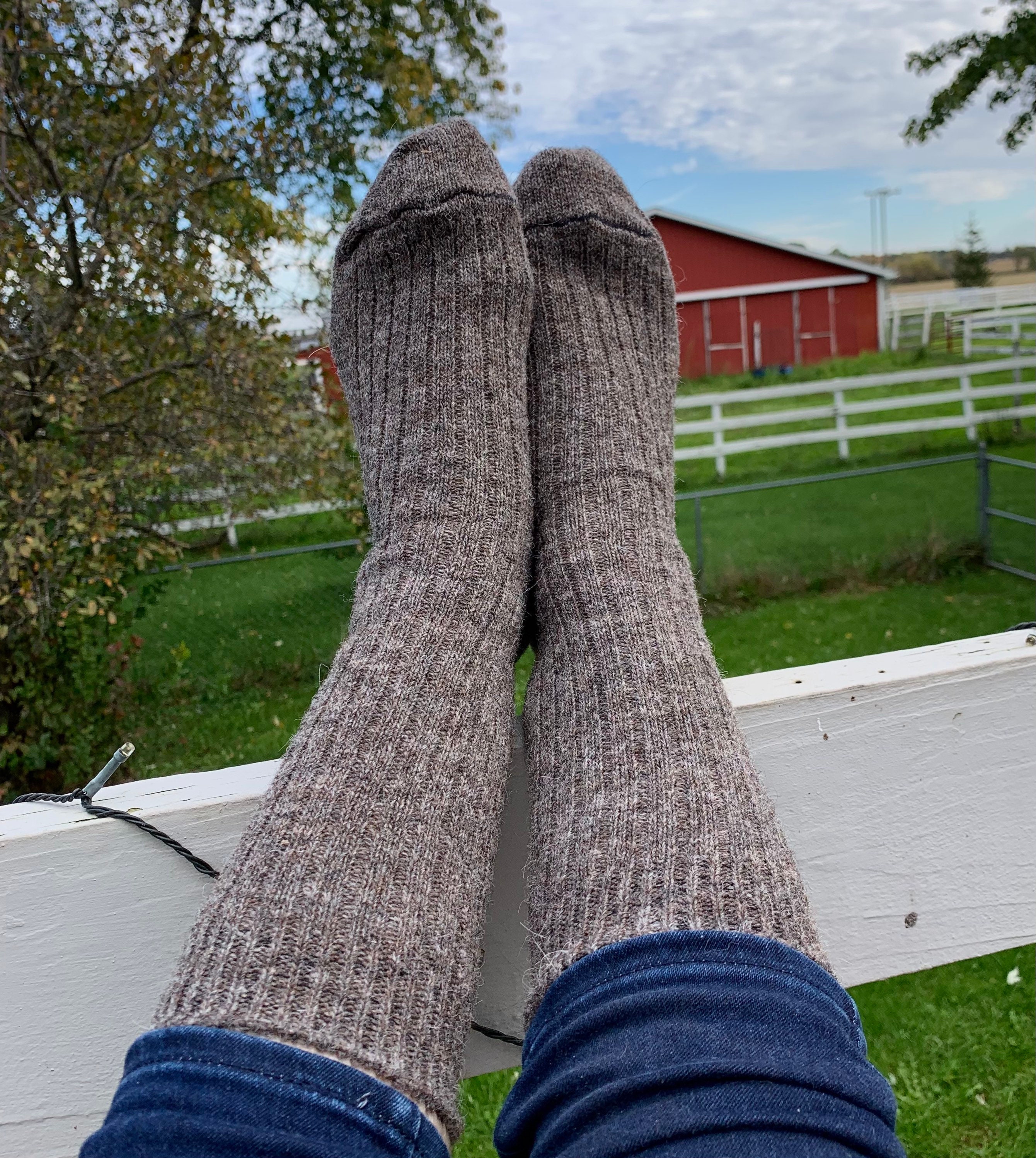 Small Alpaca Wool Socks Grown in Michigan Great Gift From - Etsy