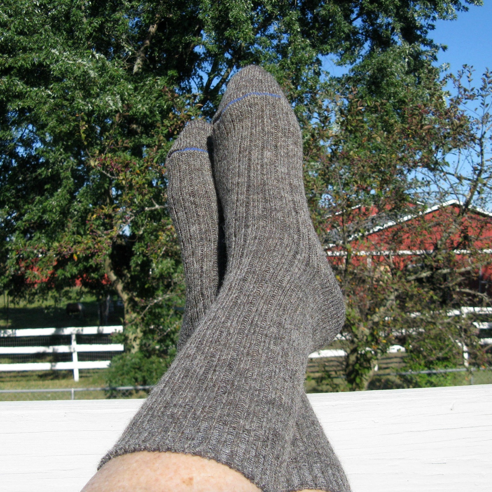 Alpaca Socks for Men Extra Large Wool and Alpaca Socks Etsy