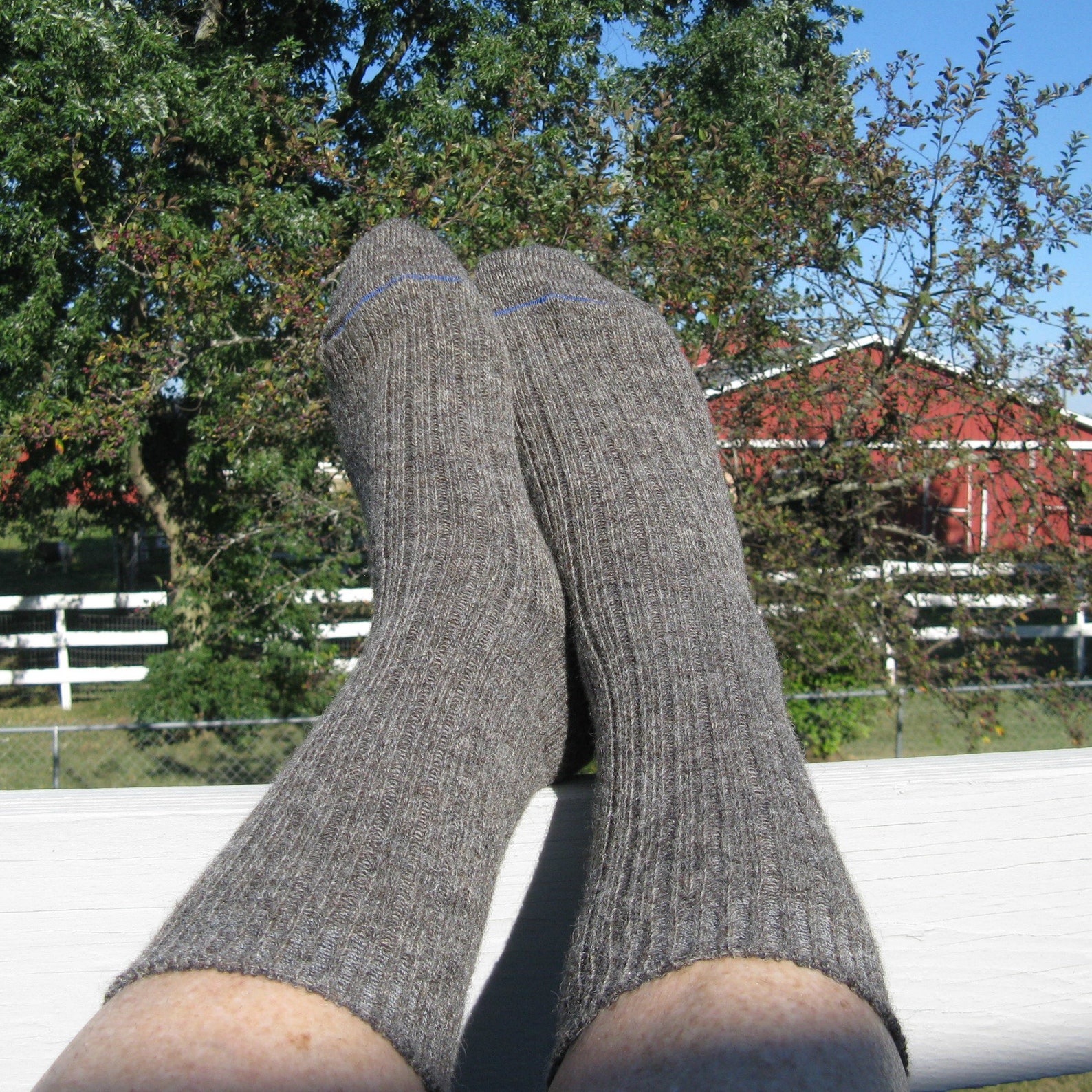 Alpaca Socks for Men Extra Large Wool and Alpaca Socks Etsy