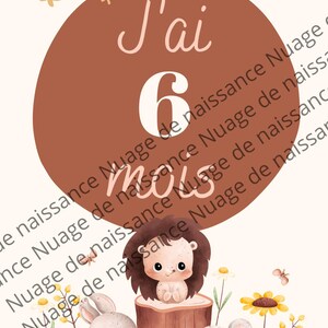 Baby mijlpaalkaarten – Essentieel pakket (10 kaarten) – Origineel geboortecadeau – gelamineerde kaarten