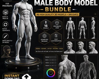 Paquete de modelos 3D de cuerpo masculino para Procreate / 16 modelos 3D de cuerpo completo / Modelos USDZ para Procreate / Referencia de anatomía masculina / Arte 3D y diseño de tatuajes