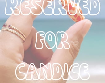 RESERVED FOR CANDICE