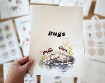 Bugs Unit Study Homeschool Pre-K
