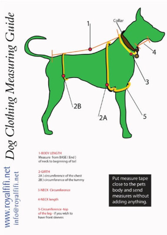 measuring dog for sweater