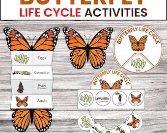 Butterfly Life Cycle Craft | Homeschool Science Printable (PDF)